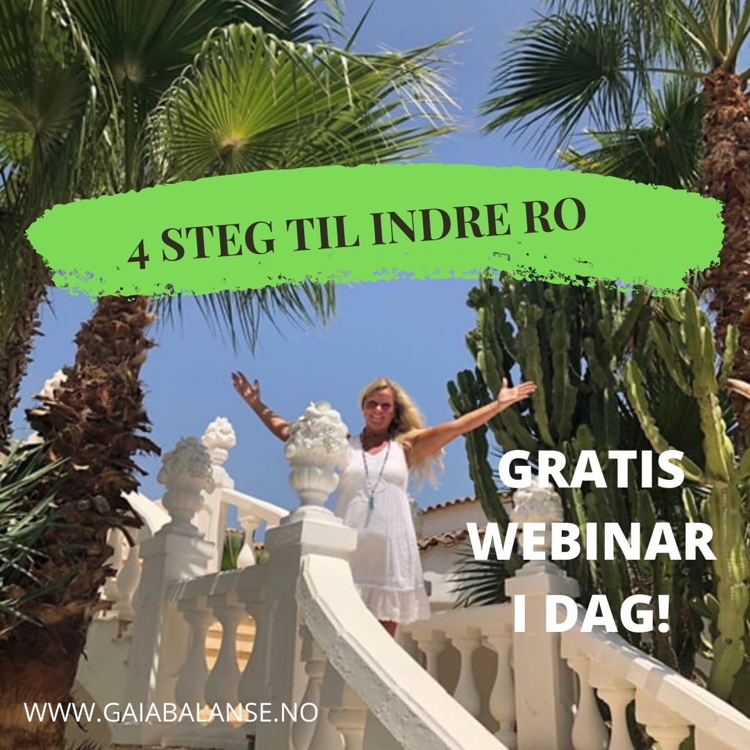 4 STEG TIL INDRE RO